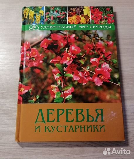 Книги: Удивительный мир природы