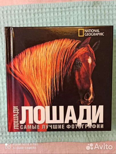 Резерв до 22.08. Книга Лошади. Лучшие фотографии