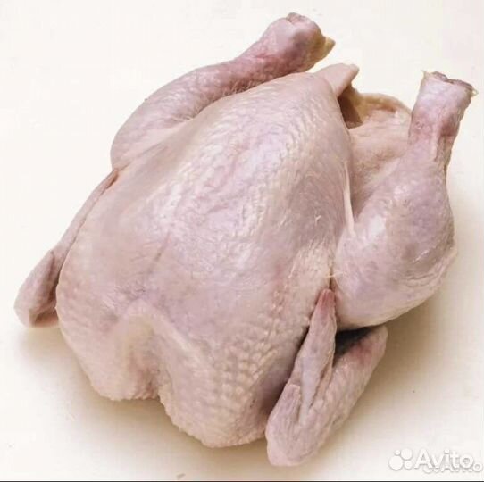 Мясо домашней птицы. Курочка бройлер