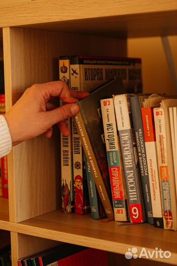 Репетитор История, Общество. ЕГЭ, ОГЭ (очно)