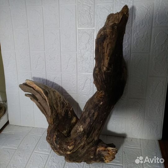 Дрифтвуд коряга