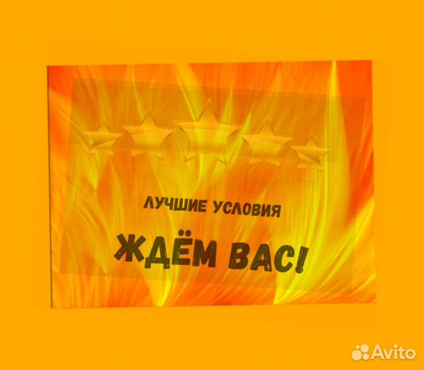 Этикеровщик без опыта Хорошие условия+Спецодежда