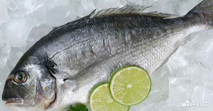 Продам прибыльный рыбный магазин – готовый бизнес с потенциалом роста