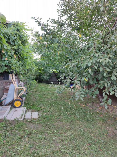 Дом 43,1 м² на участке 5,9 сот.