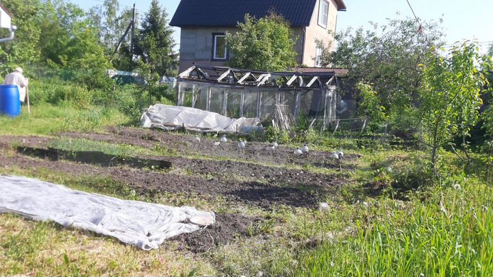 Дача 63 м² на участке 6,5 сот.