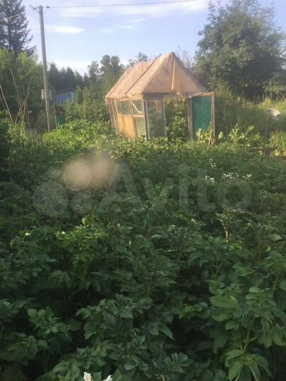 Участок 6,3 сот. (СНТ, ДНП)