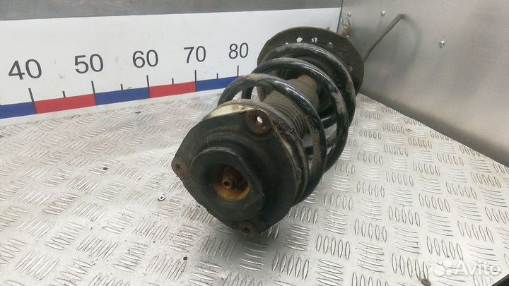 Стойка передняя Renault Koleos I (2007–2016)