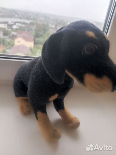 Мишка Тедди