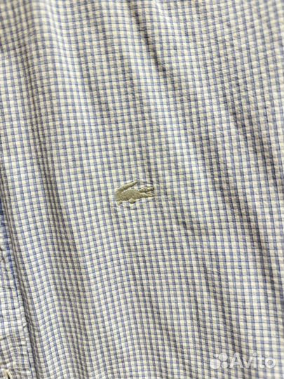 Мужская рубашка Lacoste оригинал