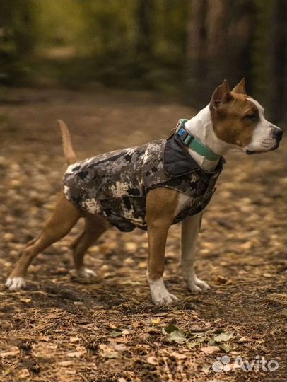 Попона куртка для собак