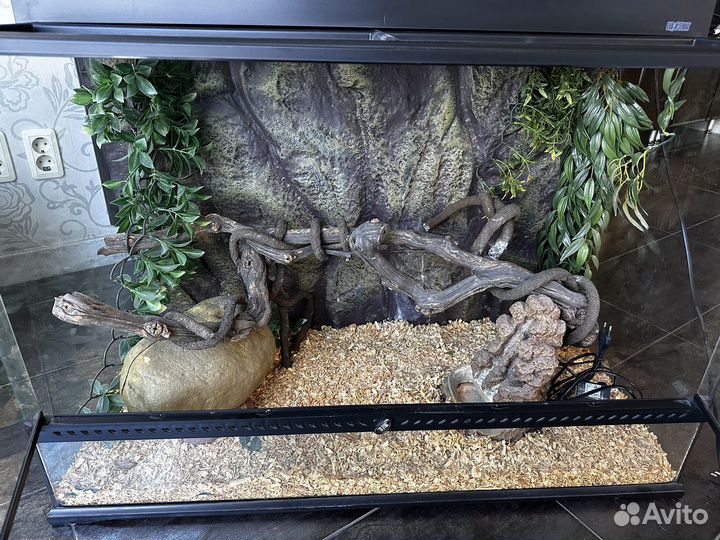 Террариум Exo Terra 90х60х45 полный комплект