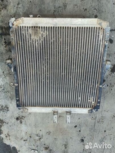 Радиатор охлаждения двигателя Маз 650185- (481-000