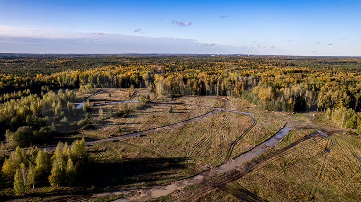 Участок 10 сот. (СНТ, ДНП)