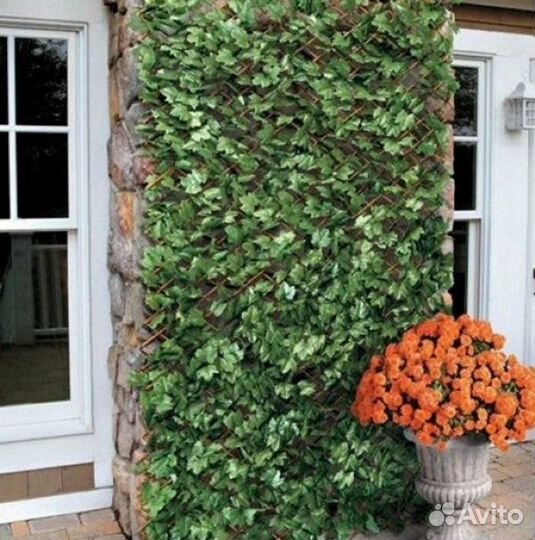 Искусственный плющ