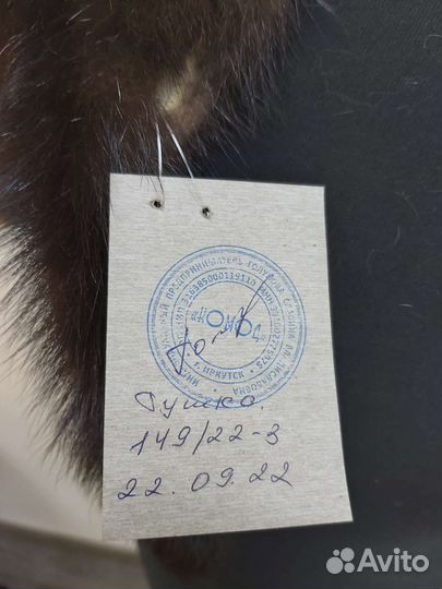 Шкурка норки 149/22-3 по предварительному звонку