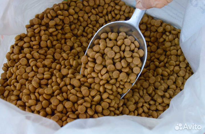 Собачий корм