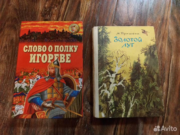 Художественная литература