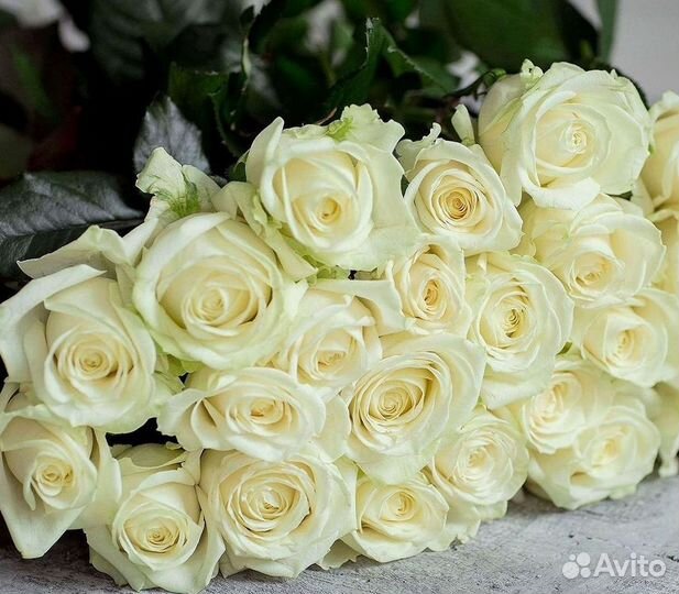 Длинные высокие розы 110 150 160 180 200 см