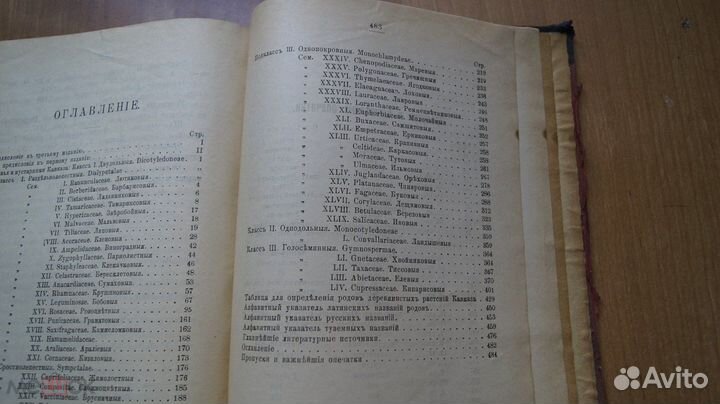Я. С. Медведев. Деревья и кустарники Кавказа 1919