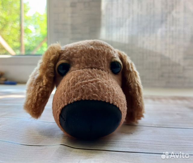 Такса из the dog collection