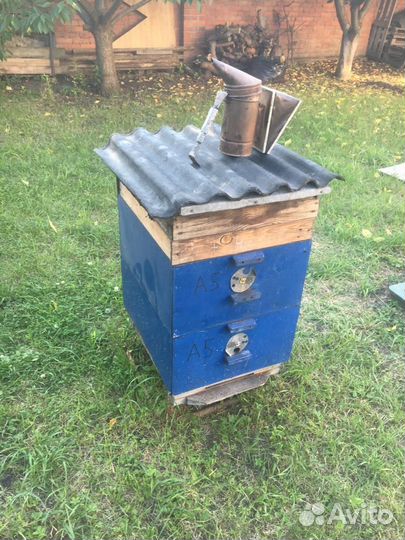 Улья с пчелами