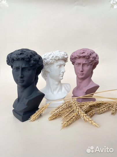 Бюст Давида кашпо голова Давида декор