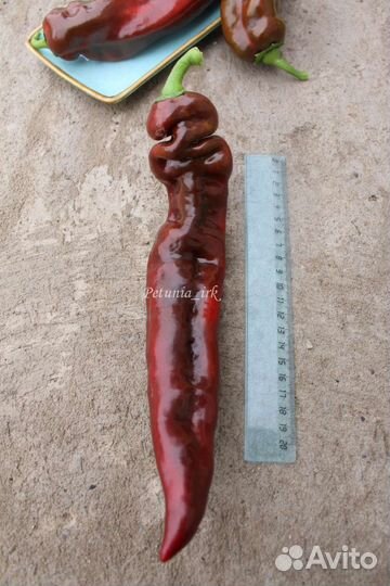 Семена перца сладкий Рамиро