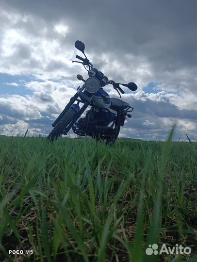 Альфа Motoland rx 110