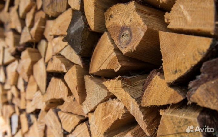 Дрова береза