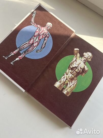 Книги я познаю мир