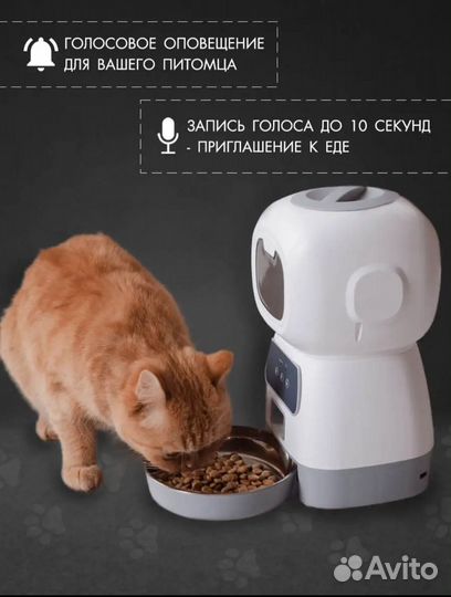 Автокормушка для кошек и собак