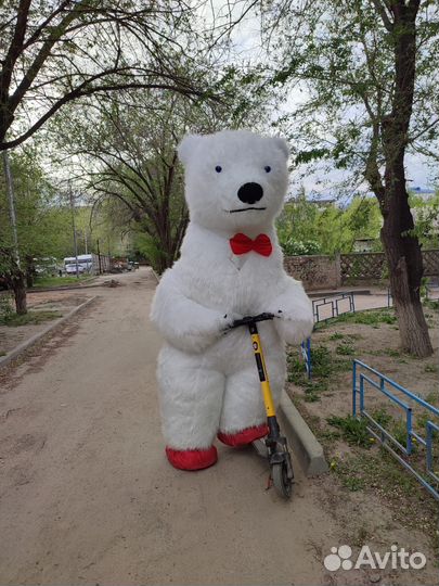 Белый мишка поздравление