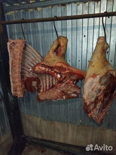 Свинина и говядина домашняя всё своё хозяйство