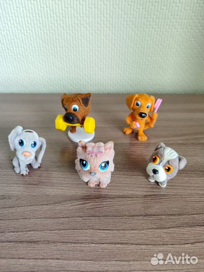 Sweet box котята и щенята