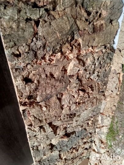 Фон для террариума из пробковой коры