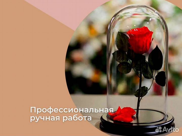 Живая роза в колбе