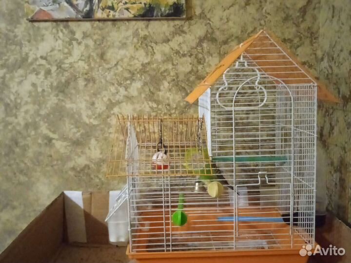 Волнистый попугай с клеткой