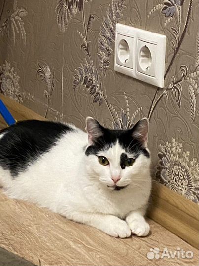 Через неделю на улицу