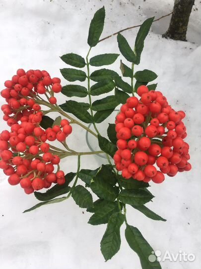 Для фотосессиий ветки рябины