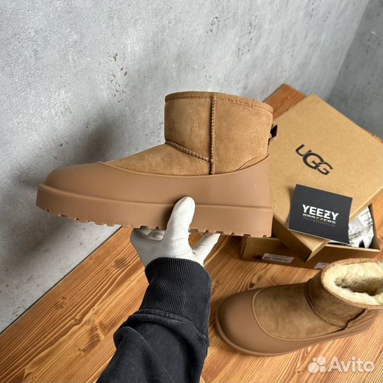 Мужские и Женские Ugg Mini II Chestnut + галоши