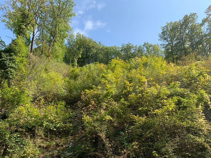 Участок 8,5 сот. (СНТ, ДНП)