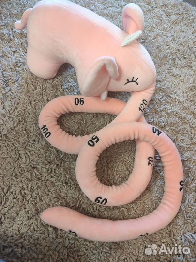 Слон ростомер