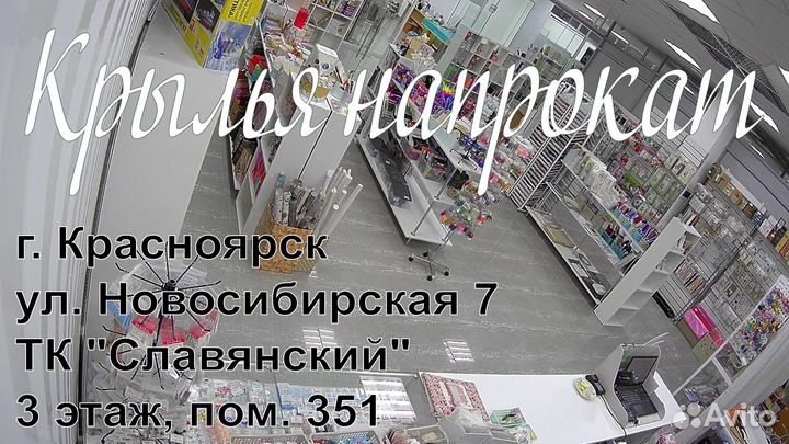 Сборная модель «Крокодил»