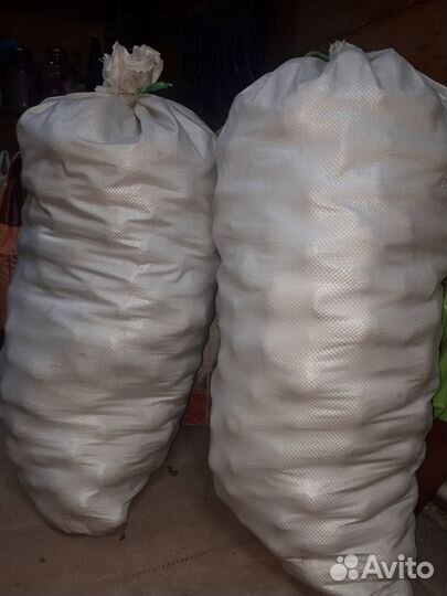 Продам картофель