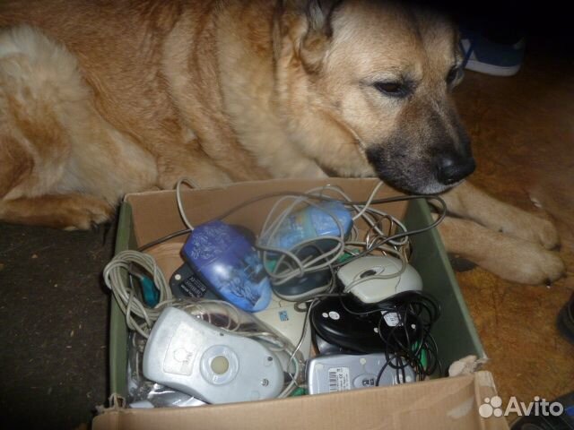 Старые компьютерные мыши