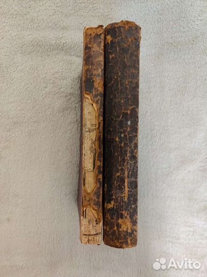 Две Книги по истории Виноградов