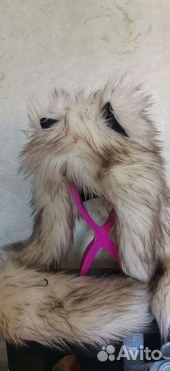 Волкошапка