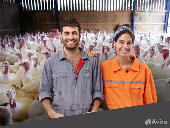 Разнорабочий на птицеферму вахта