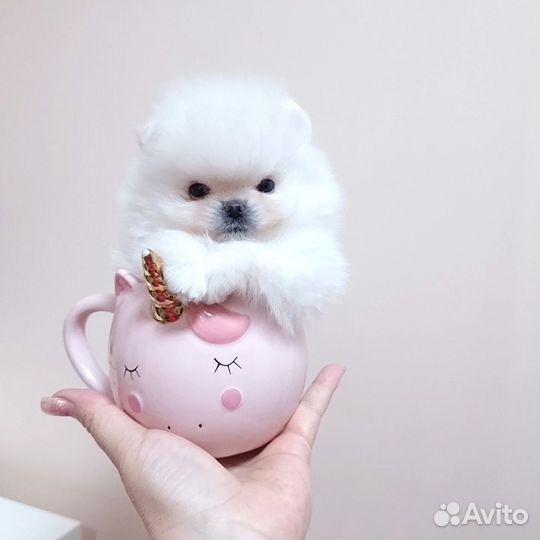 Микро малыш