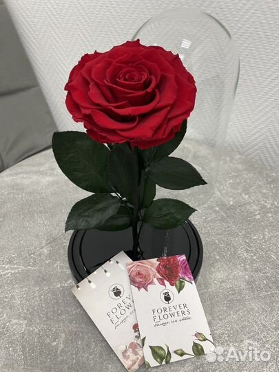 Роза в колбе. Есть опт